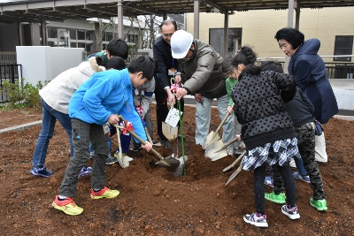 コーセー、震災復興の一環で新種のさくら「はるか」を小学校に寄贈