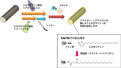日本精化、水・油に溶け有効成分の浸透促すエステルを拡販