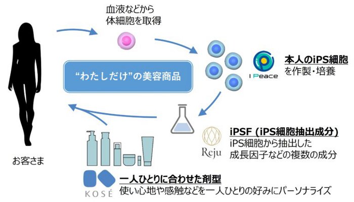 コーセー、iPS細胞用いた究極のパーソナライズ美容商品を2026年に本格展開