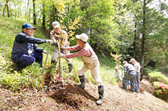 【ＣＳＲ活動】花王・みんなの森づくり活動、2012年助成対象団体を募集