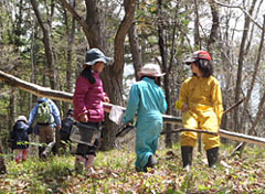 花王・みんなの森づくり活動、2013年助成対象団体を募集
