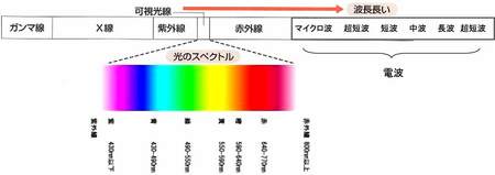 図2　電磁波と光のスペクトル.jpg