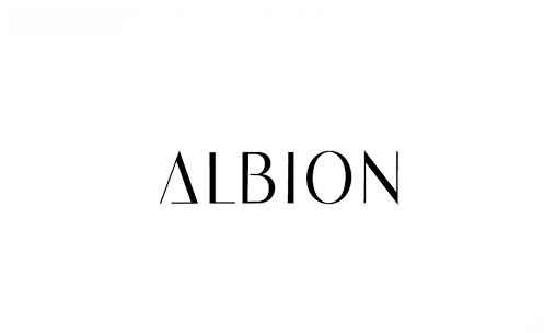 アルビオン、組織変更（2019年3月21日付）