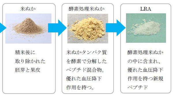 サンスター、LRAを含む「酵素処理米ぬか」に血圧降下作用を発見