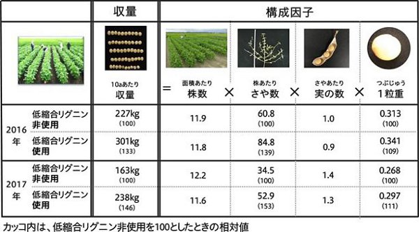花王、大豆の増産を可能にする土壌改良技術を開発