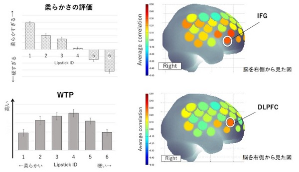 資生堂、脳血流反応測定を用いた使用感の評価法を開発