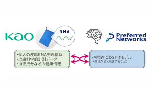 花王、協働プロジェクトで皮脂RNAモニタリング技術の実用化へ