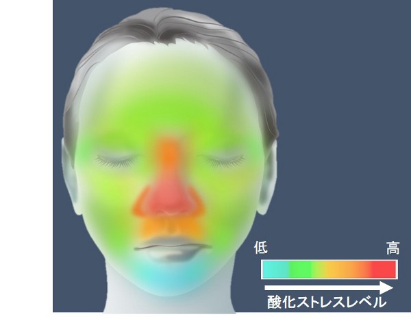 資生堂、バイオフォトン測定で顔の酸化ストレスの部位差を発見