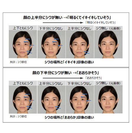 ポーラ化成工業、顔の上半分と下半分のシワが与える印象の違いを発見
