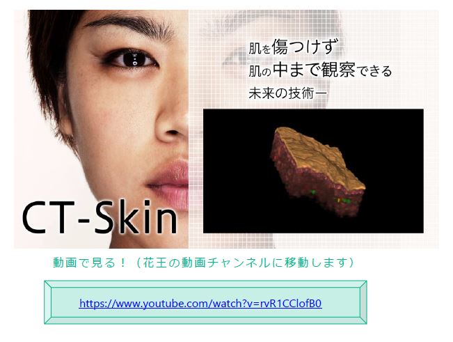 花王、最先端皮膚断層画像の3D化によりCT-Skinを開発