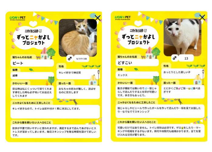 ライオンペット、保護猫SNSチャリティー40万円を支援団体に寄付