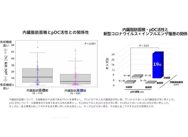 花王とキリン、内臓脂肪と免疫活性に関する日本初の発見