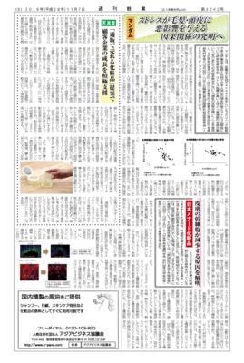 【週刊粧業】日本メナード化粧品、皮膚の幹細胞が減少する原因を解明